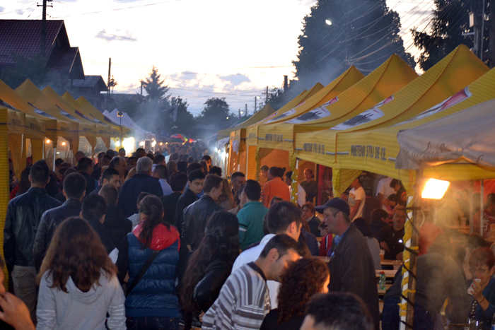 Festivalul cireselor 34 Festivalul cireşelor de la Băneşti, fără cireşe, dar cu muzică bună, foarte multă lume şi distracţie până târziu în noapte