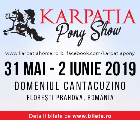 KPS 2019 Banner 467x400 Karpatia Pony Show, la a III a ediție. Pe Domeniul Cantacuzino de la Florești